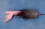 Natural material Feather Tail Tints and shades Liver